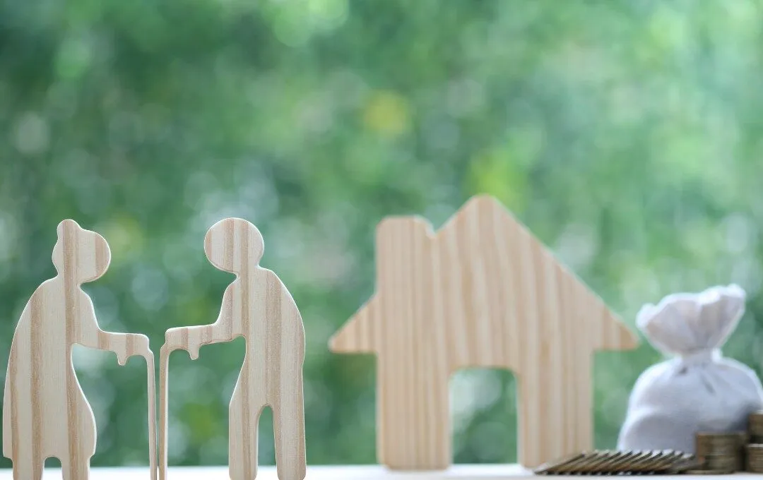 New digital service to check your State Pension forecast launched